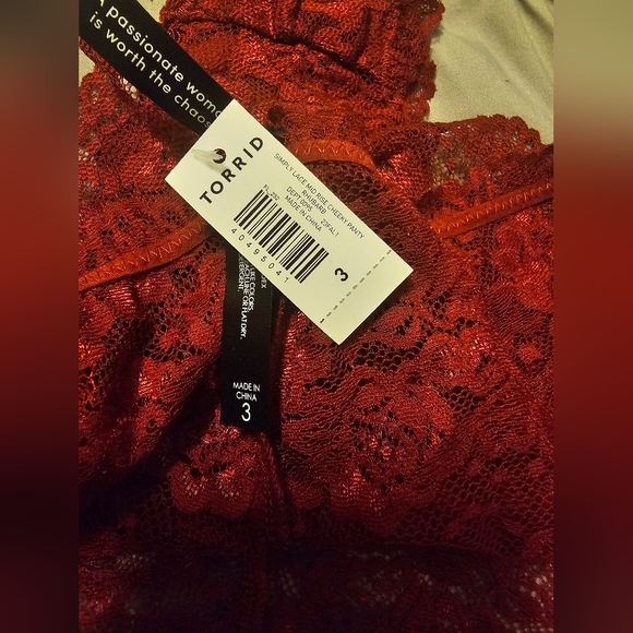 Simply Lace Mid-Rise Cheeky Panty From Torrid - Picture 3 of 8